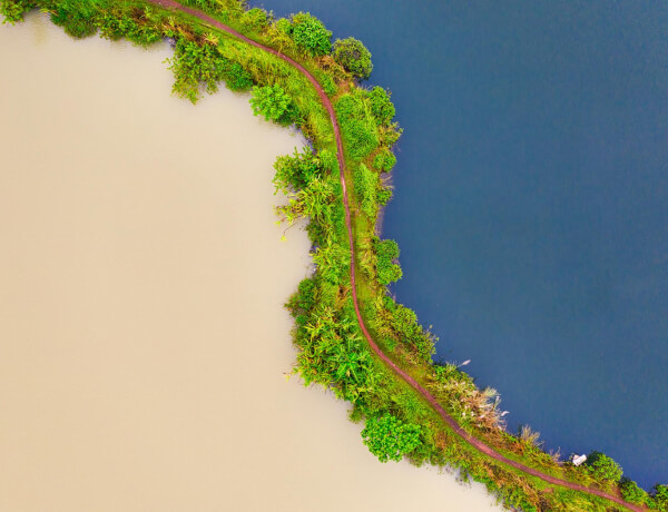 Services Services 03