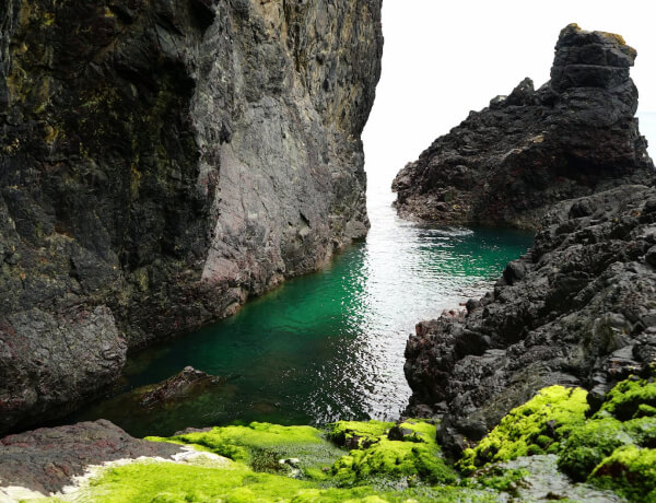 Services Services 04